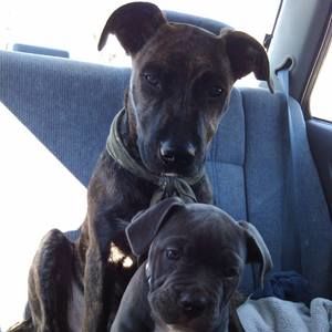 Meet your Posher, Carla